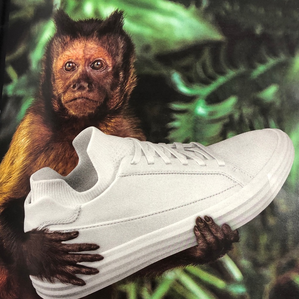 Meet your Posher, Hugo